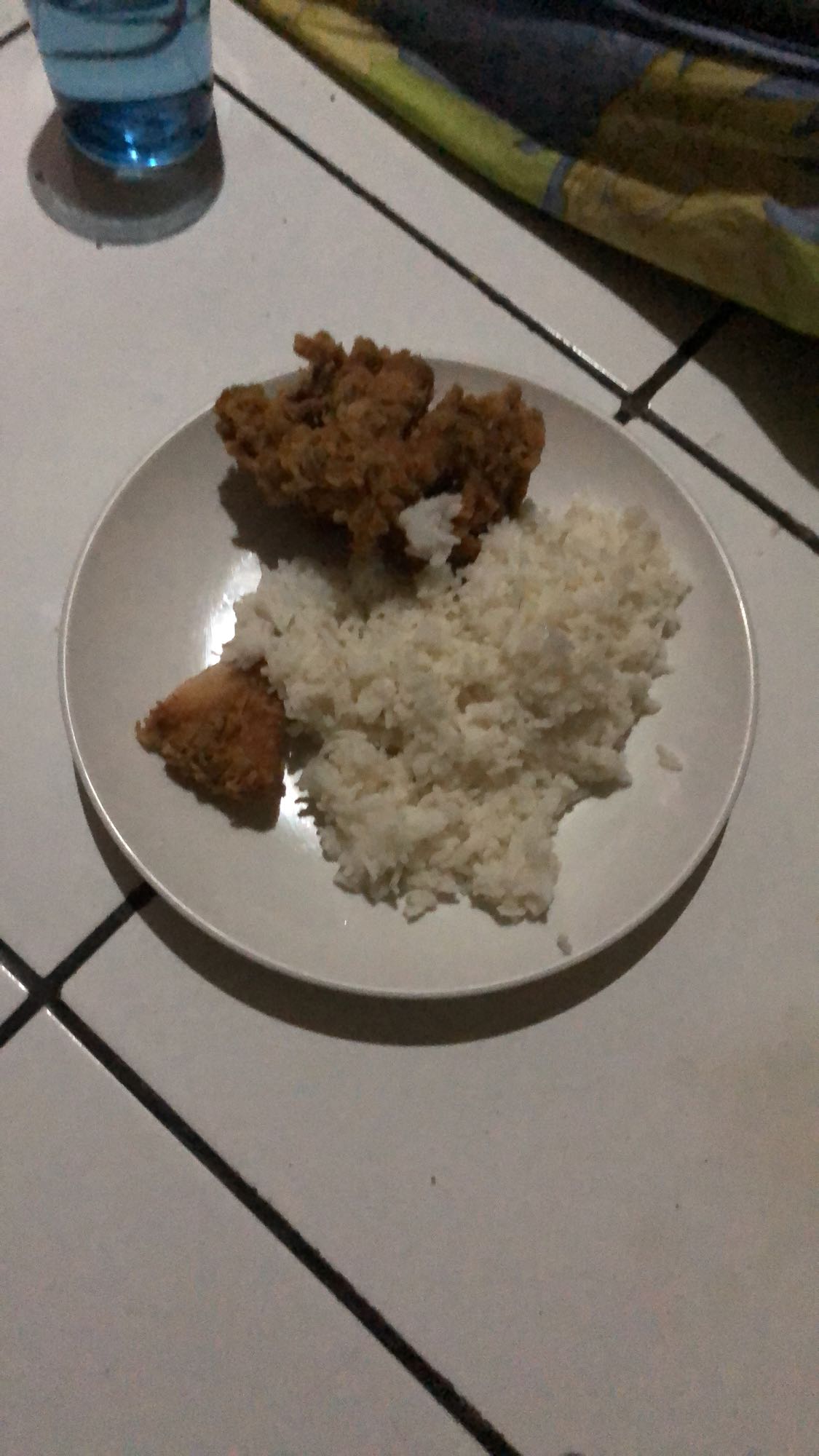 Fried Chicken with Rice