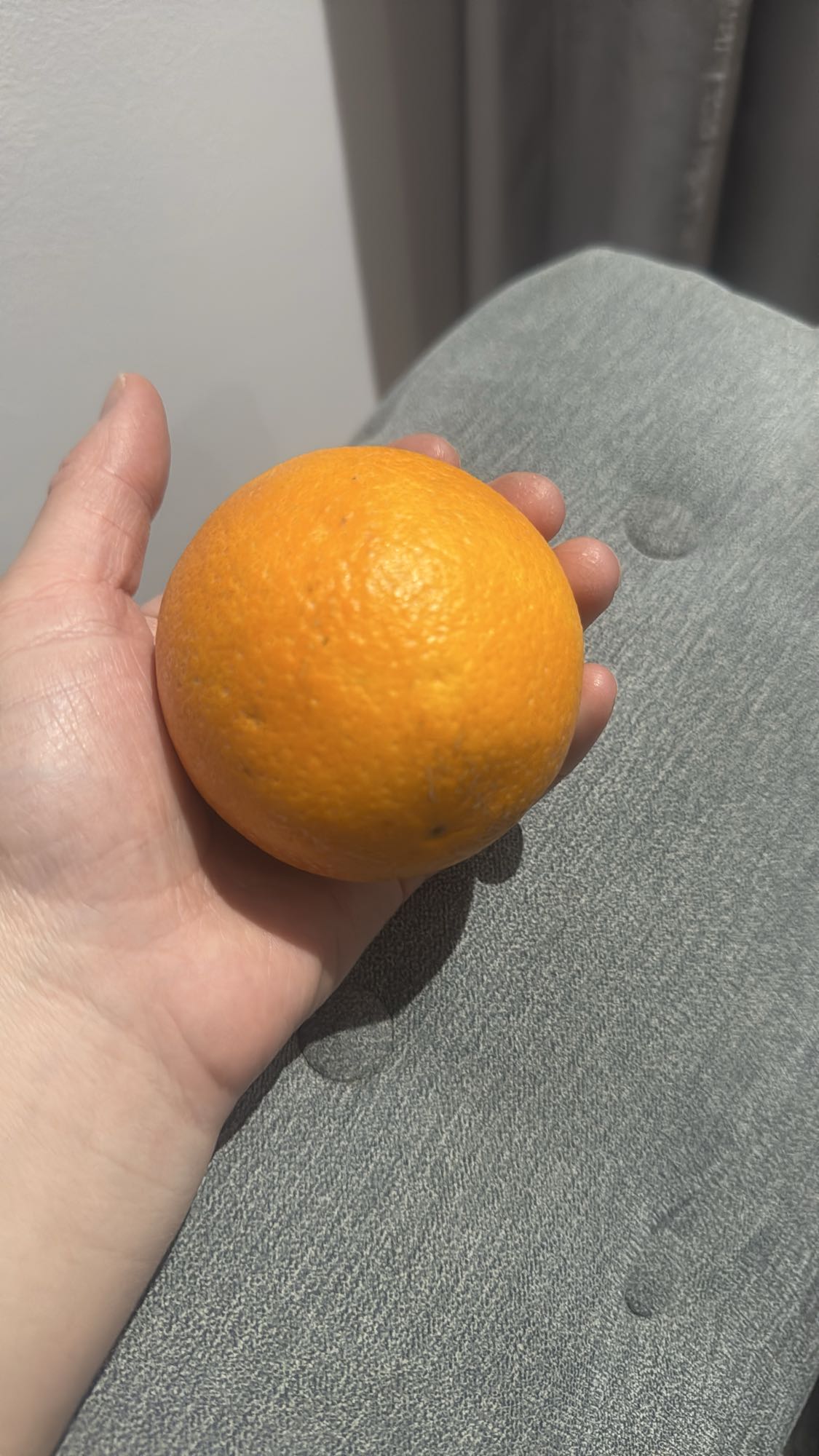 Fresh Orange