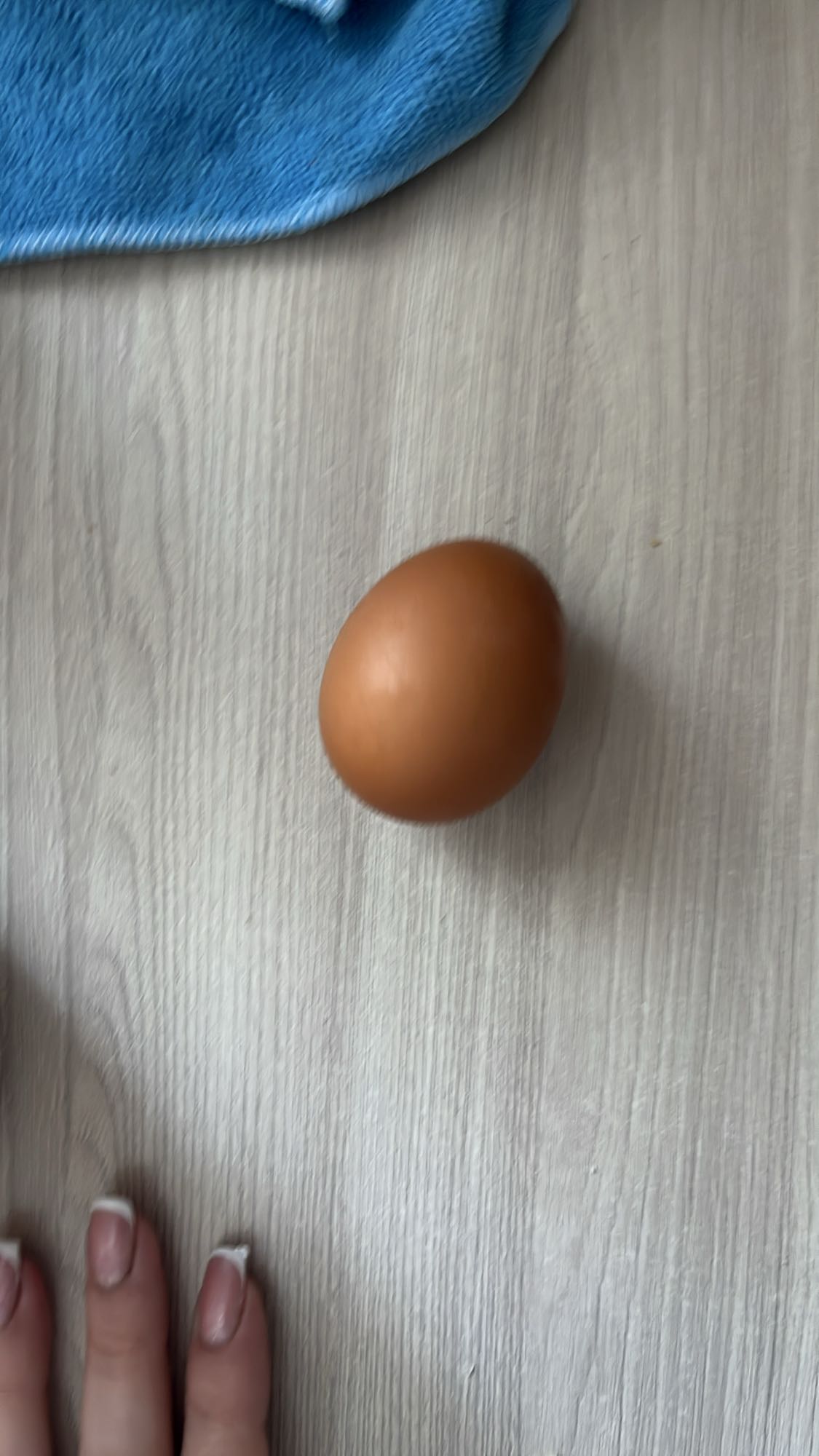 Куриное яйцо