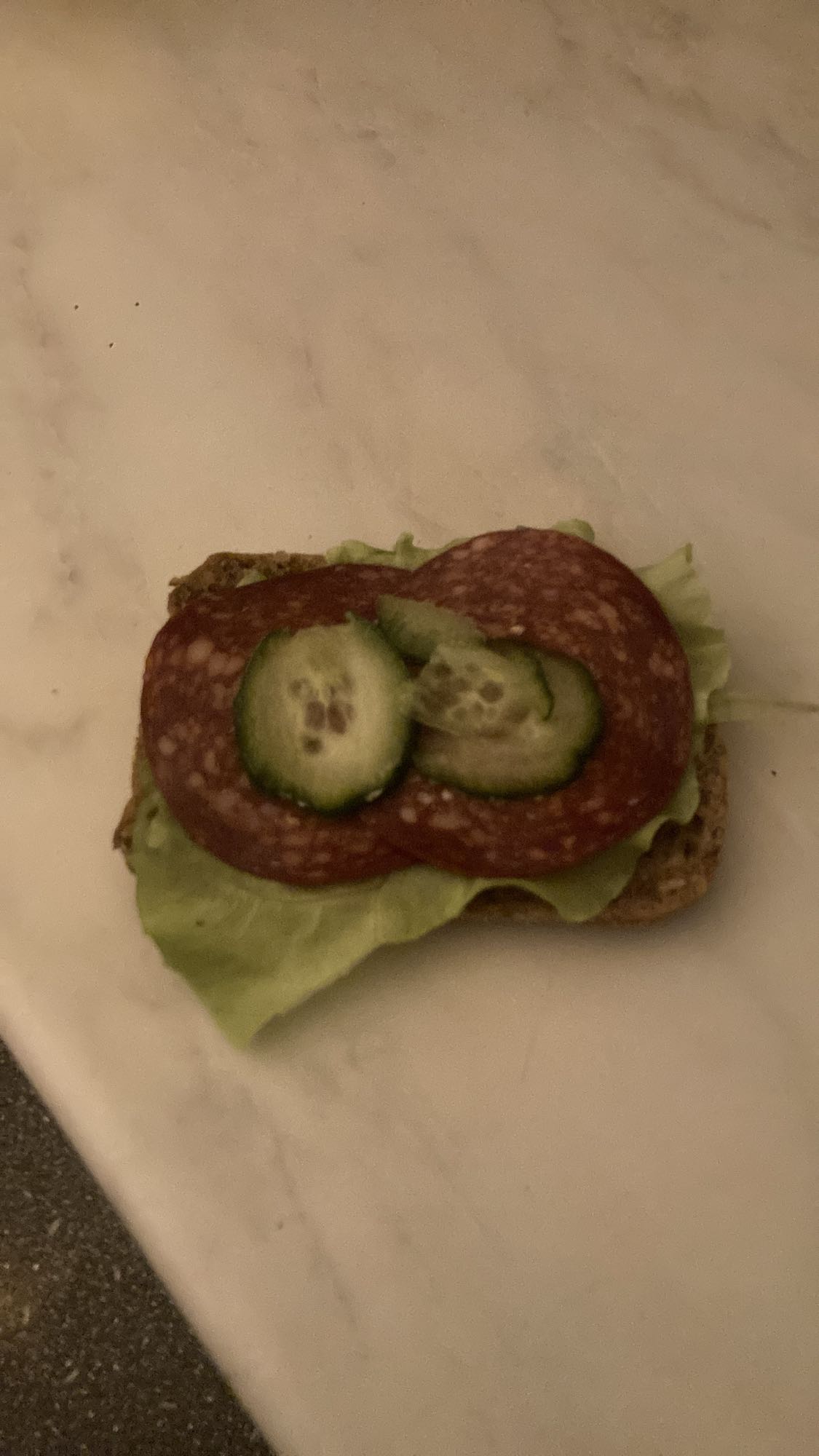 Salami Sandwich
