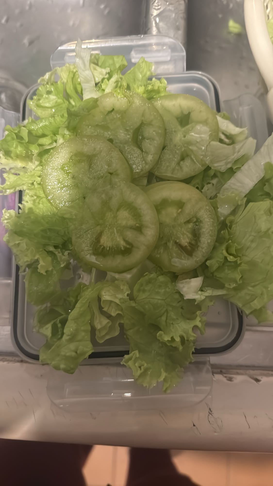 Ensalada de lechuga y tomate