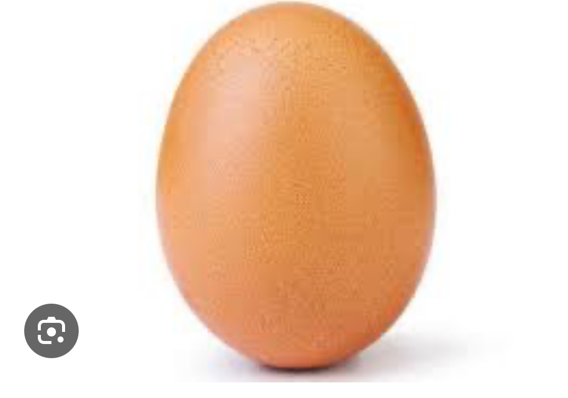 Куриное яйцо