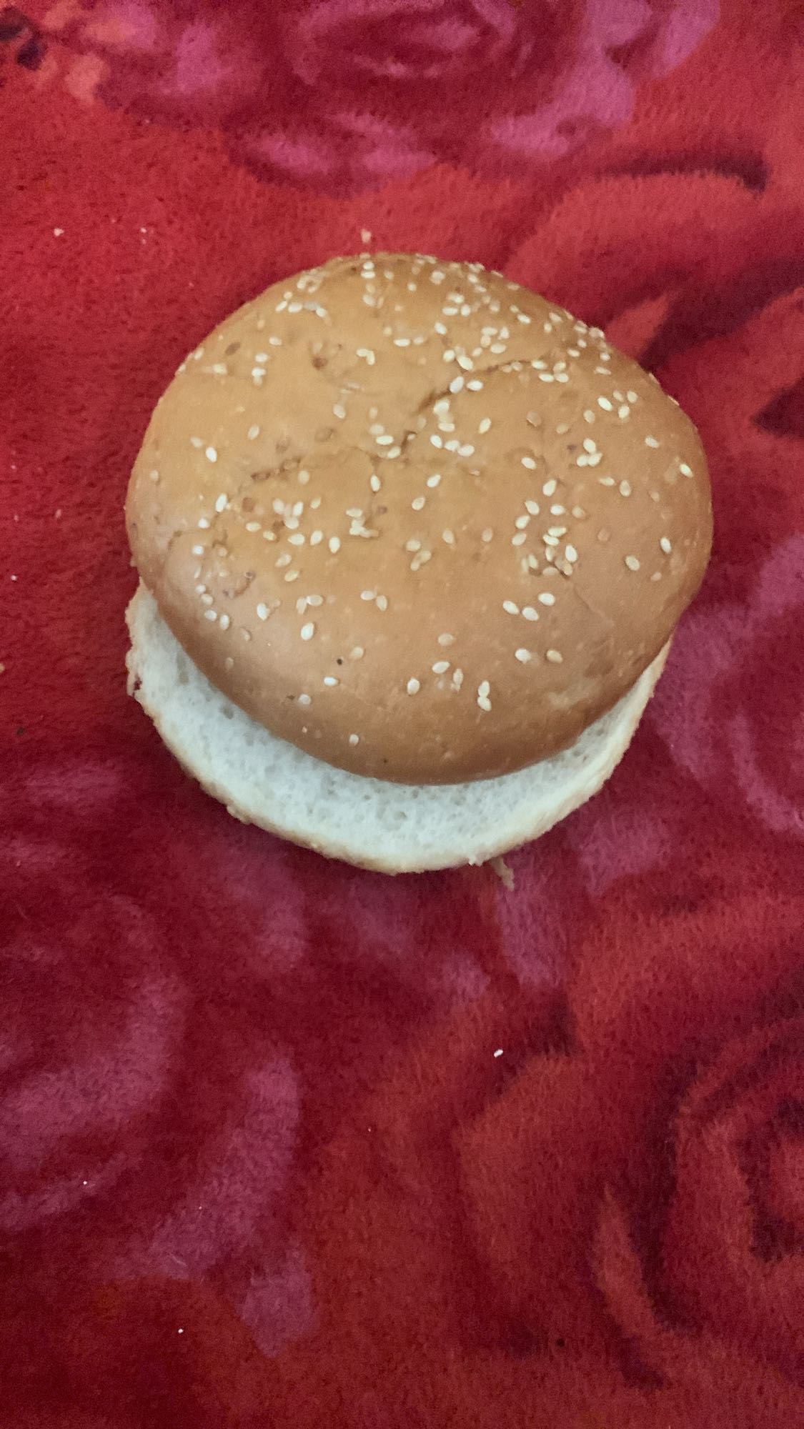 Plain Burger Bun