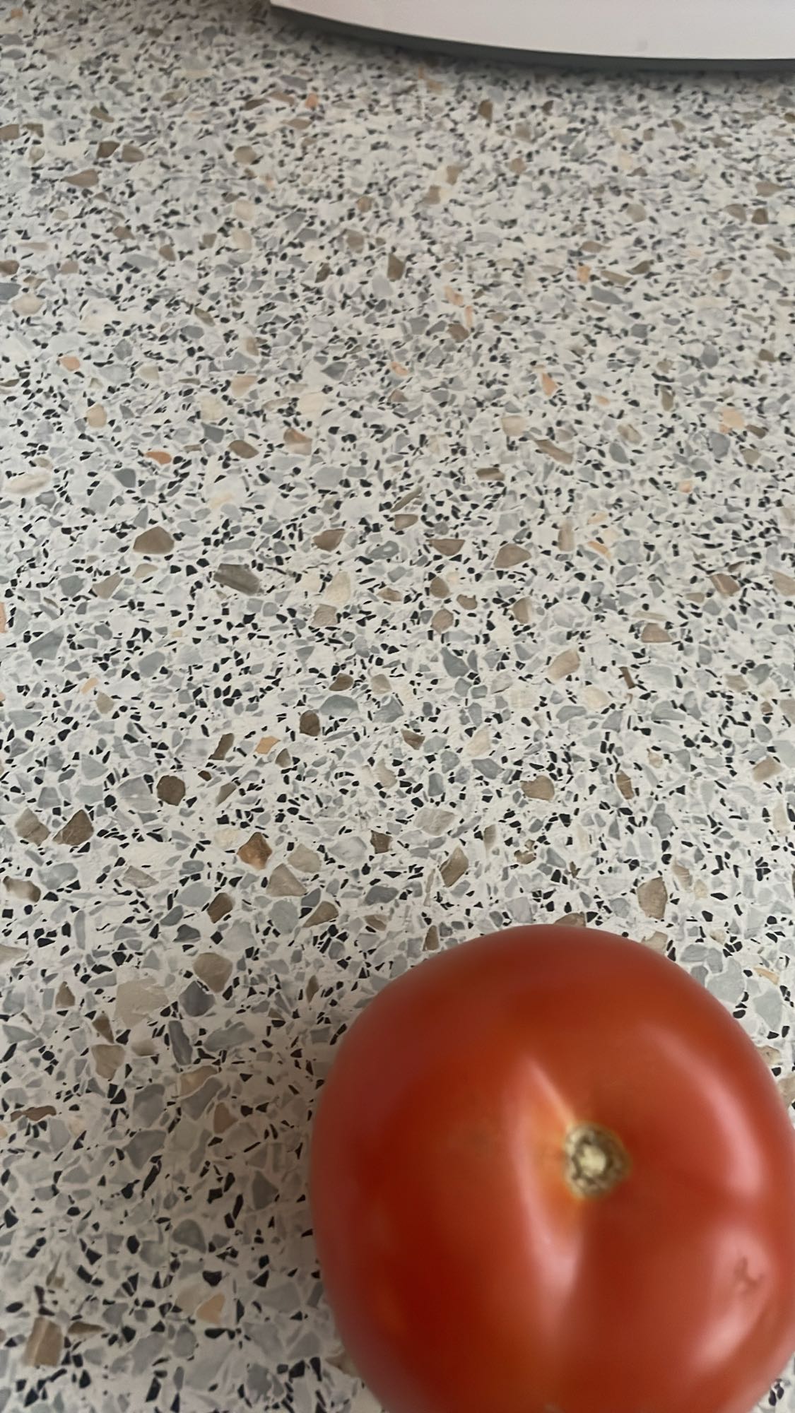 Tomate