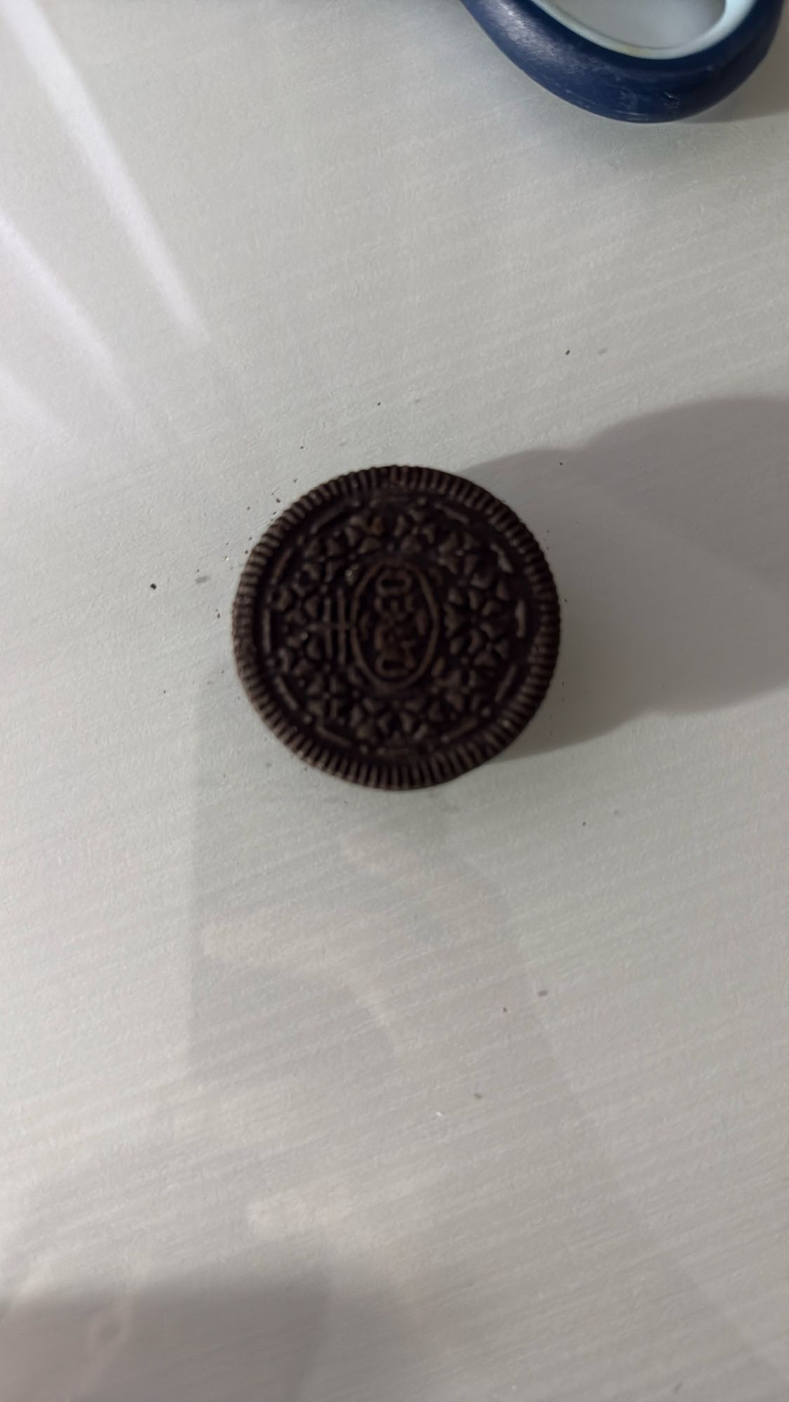Galleta de chocolate
