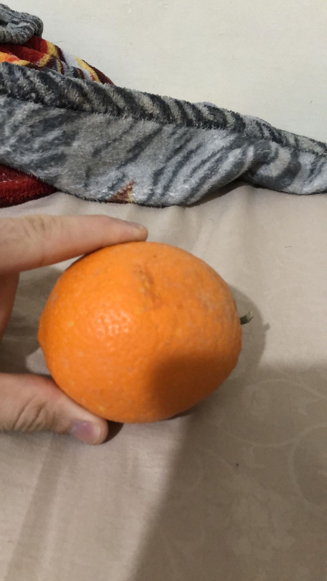 Orange fraîche
