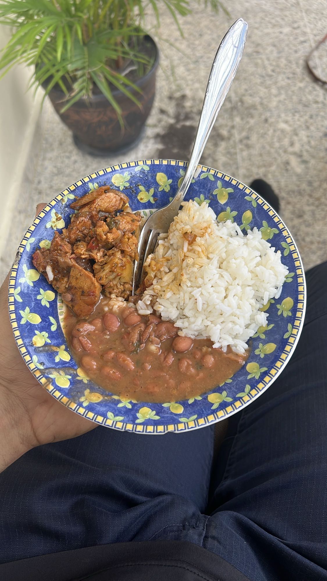 Arroz, frijoles y carne
