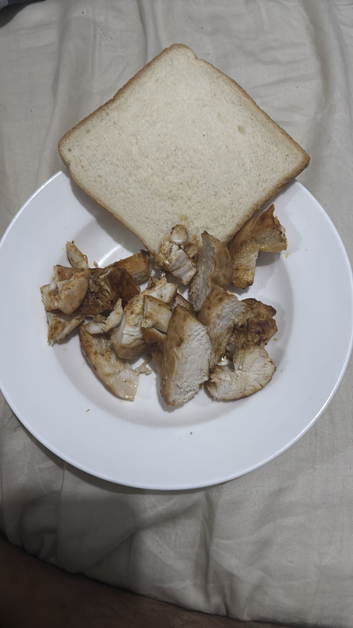 دجاج مشوي مع خبز