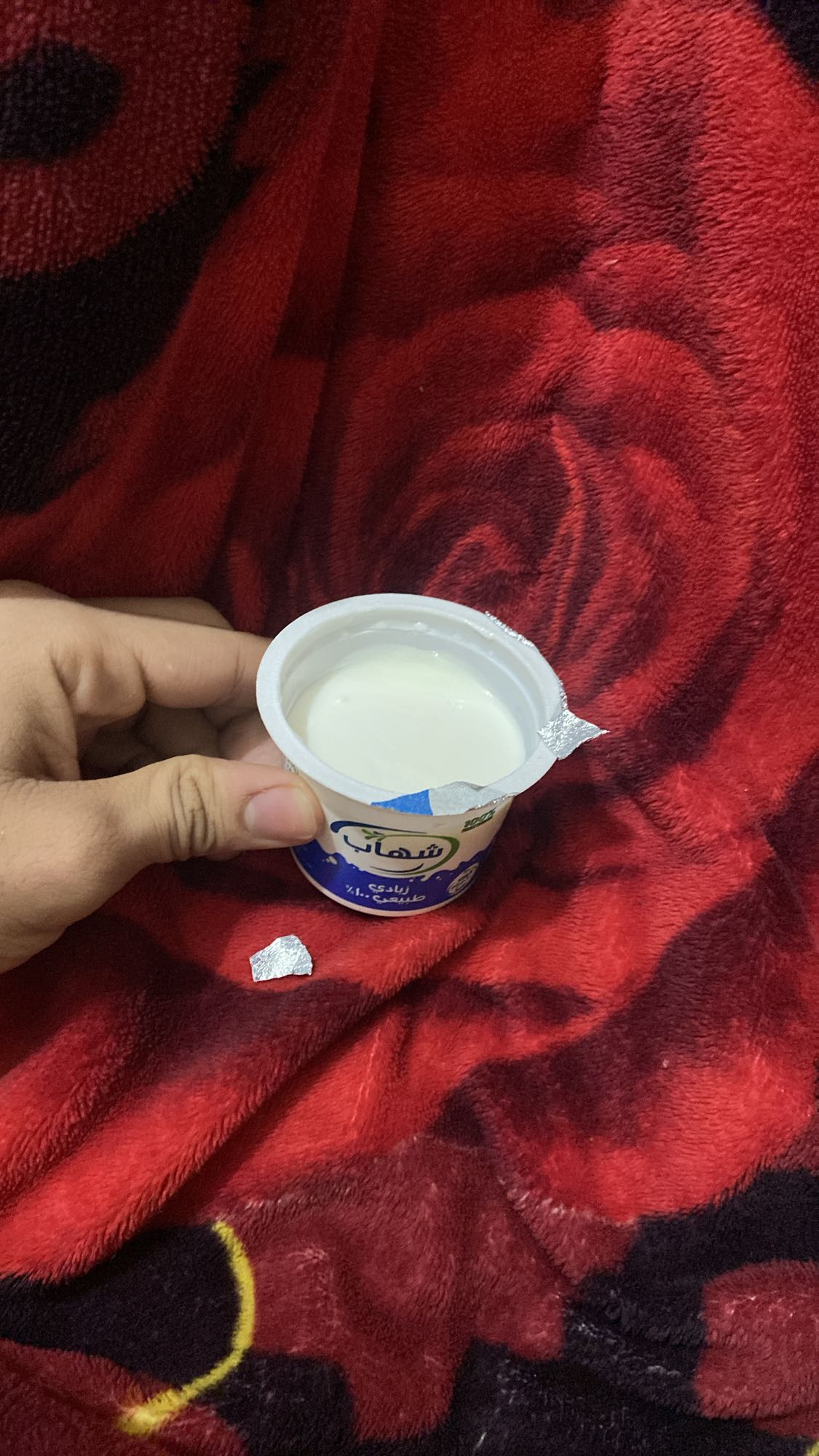 زبادي طبيعي