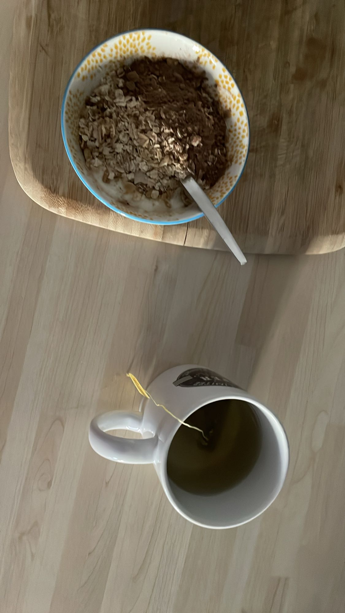 Flocons d'avoine au cacao