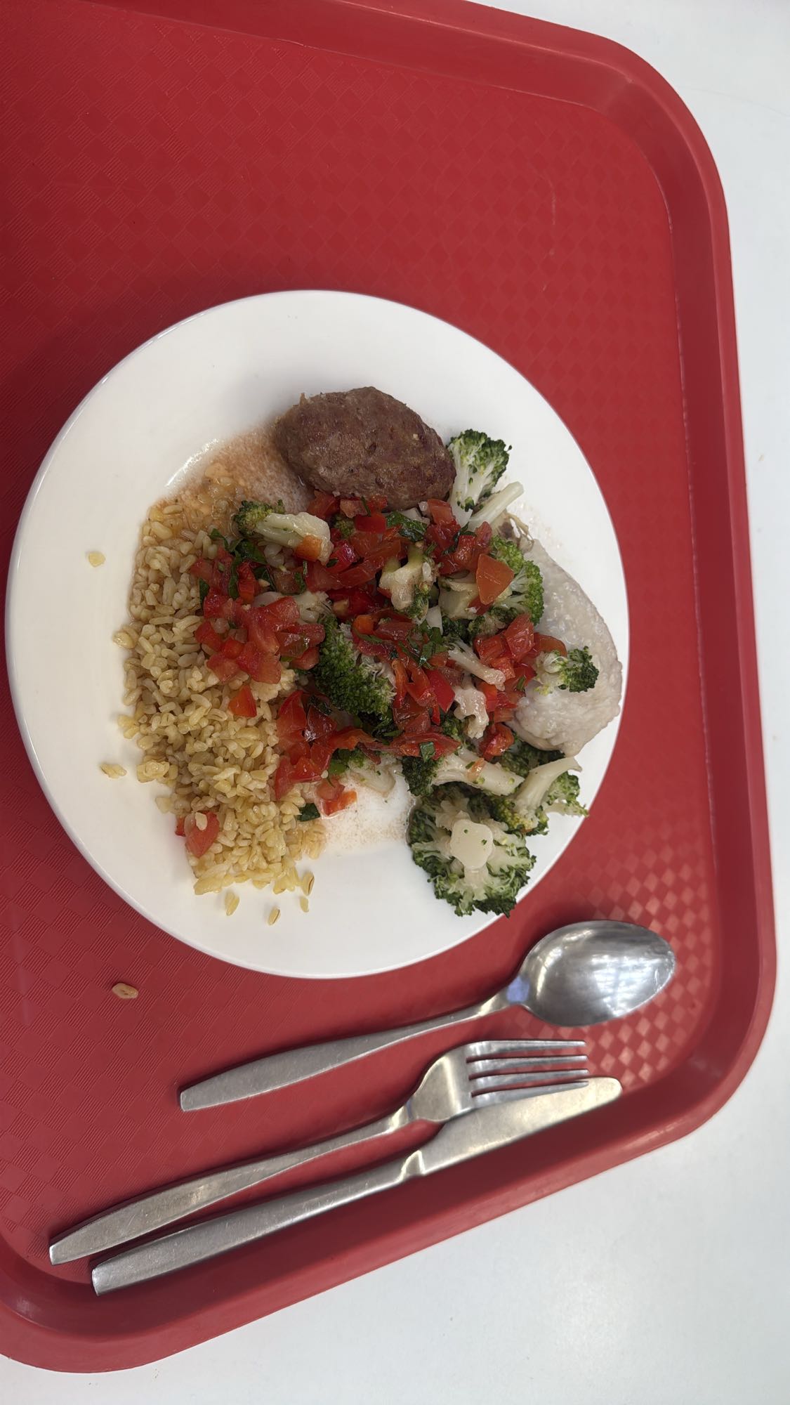 Beef with Vegetables and Rice