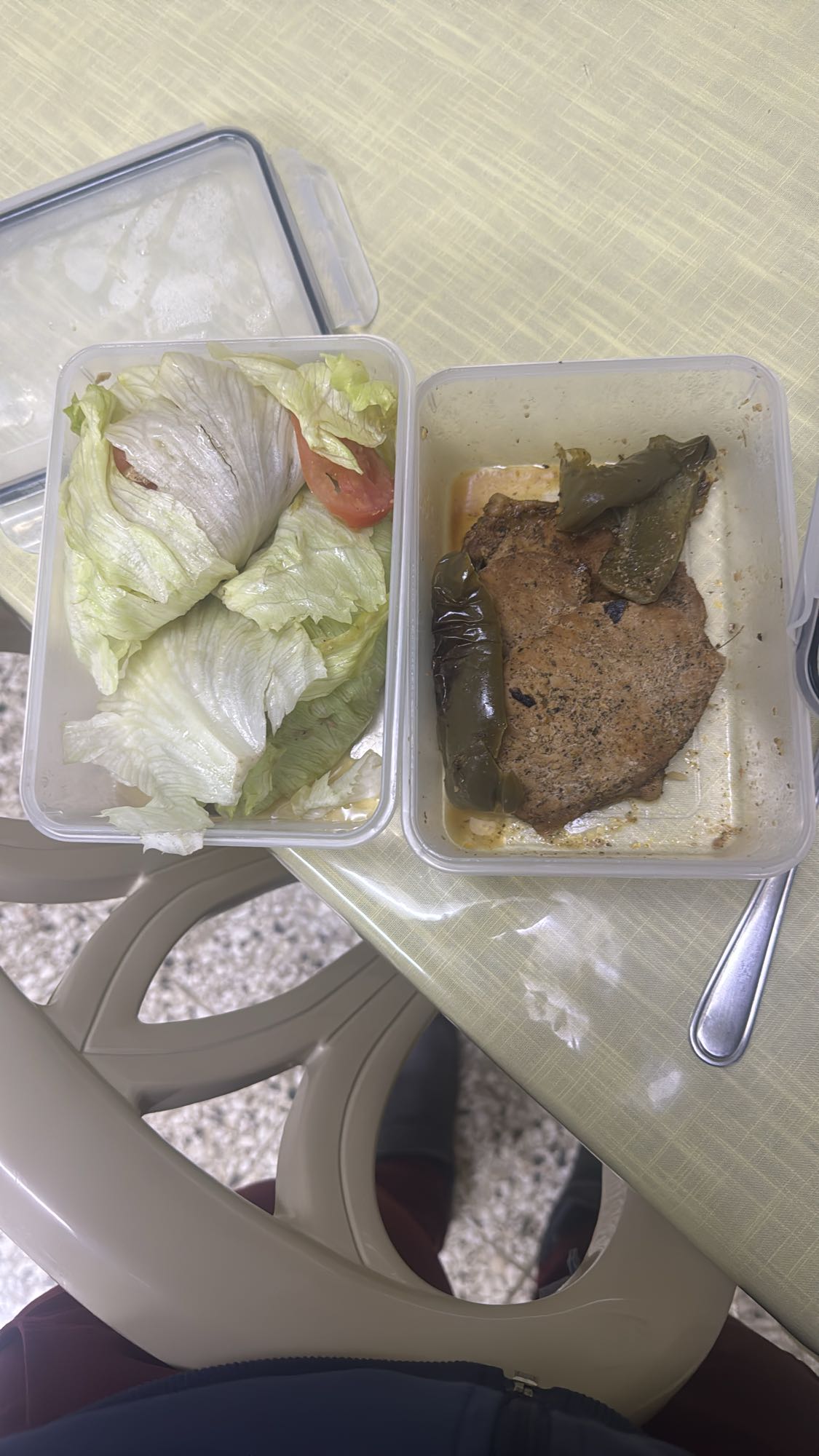 Carne asada con ensalada