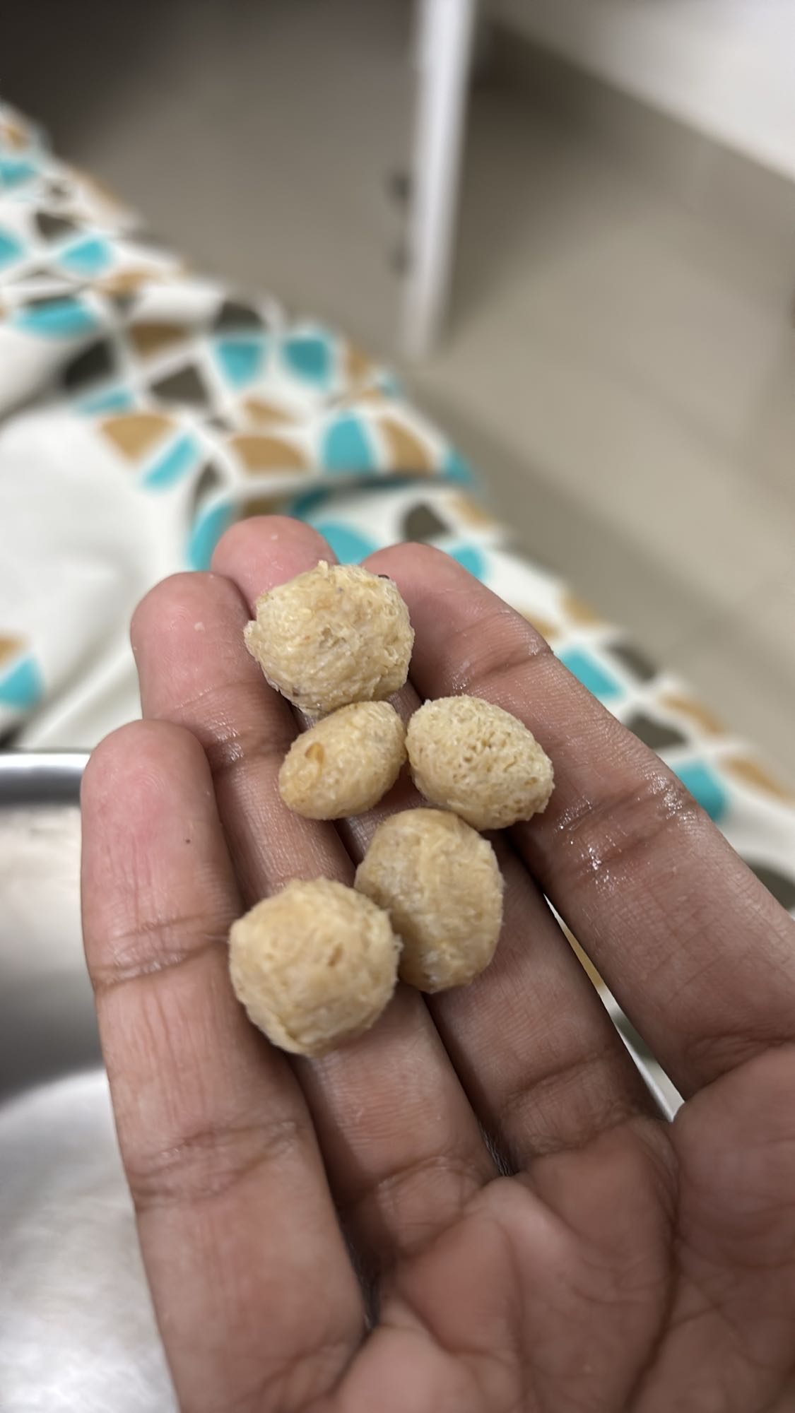 Soya Chunks