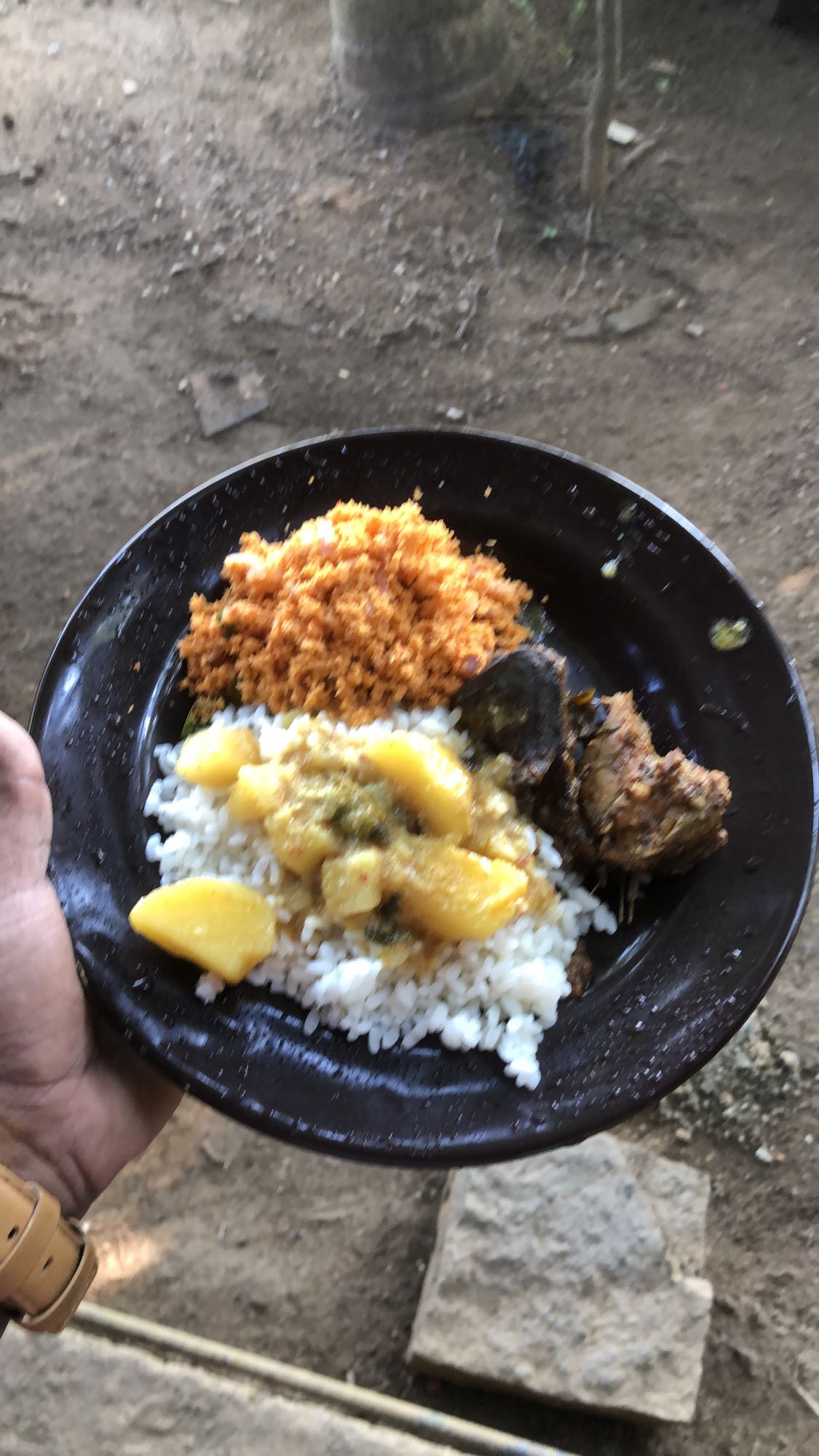 Rice with curry and sambal