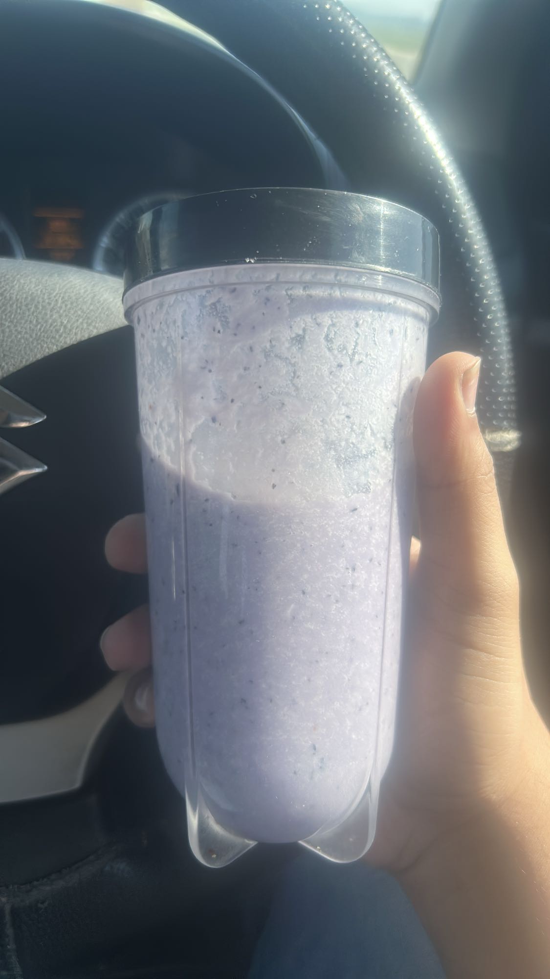 Blueberry Protein Shake