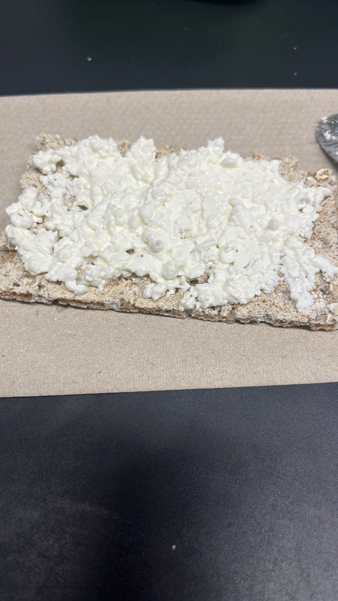 Cottage Cheese Crispbread