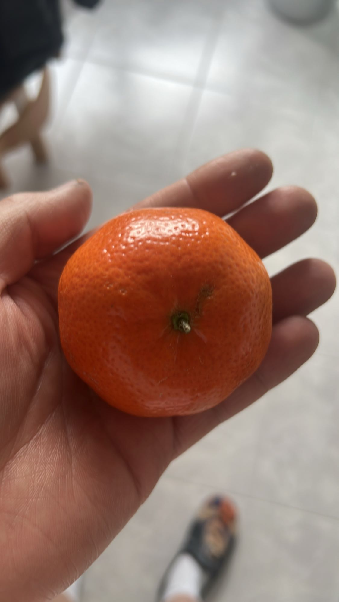 Mandarina fresca