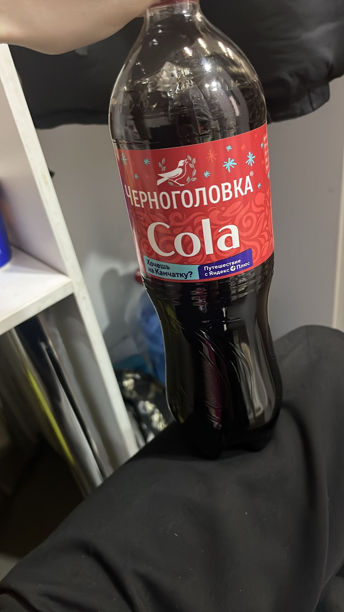 Черноголовка Cola