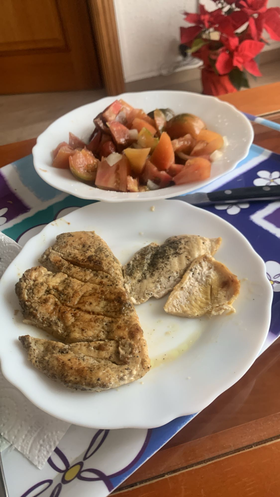 Pollo a la plancha con ensalada