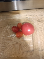 Fresh Tomatoes