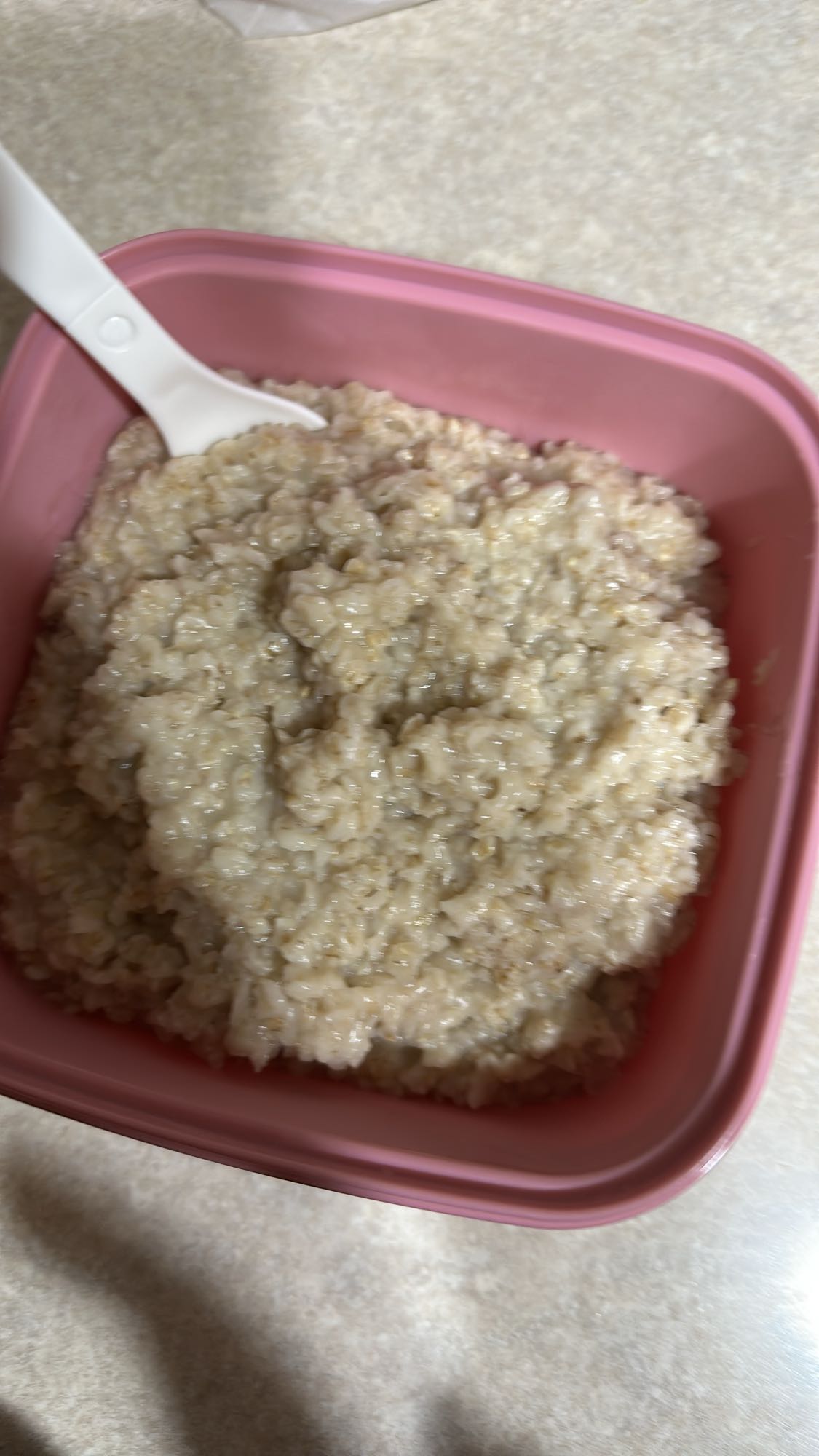 Oatmeal