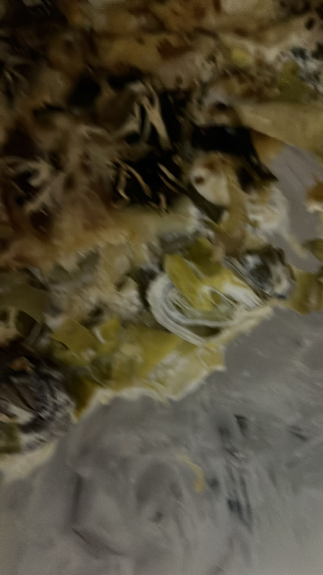 Gratin aux épinards