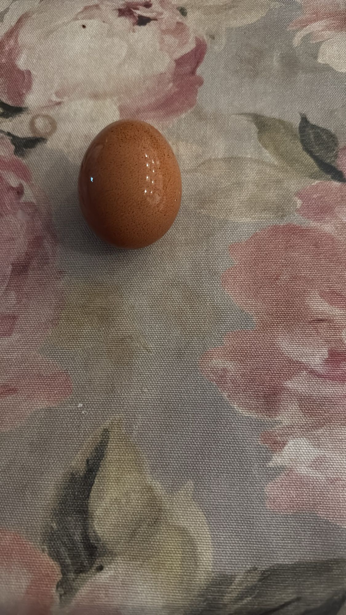 Куриное яйцо