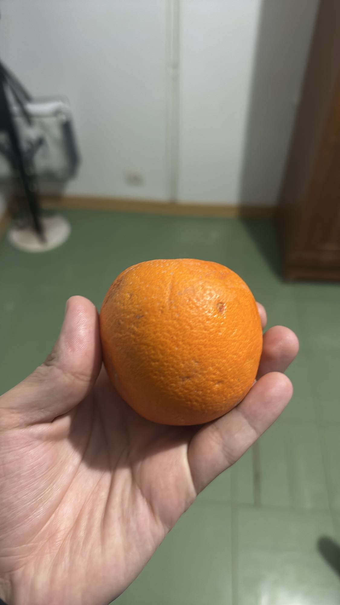 Orange fraîche