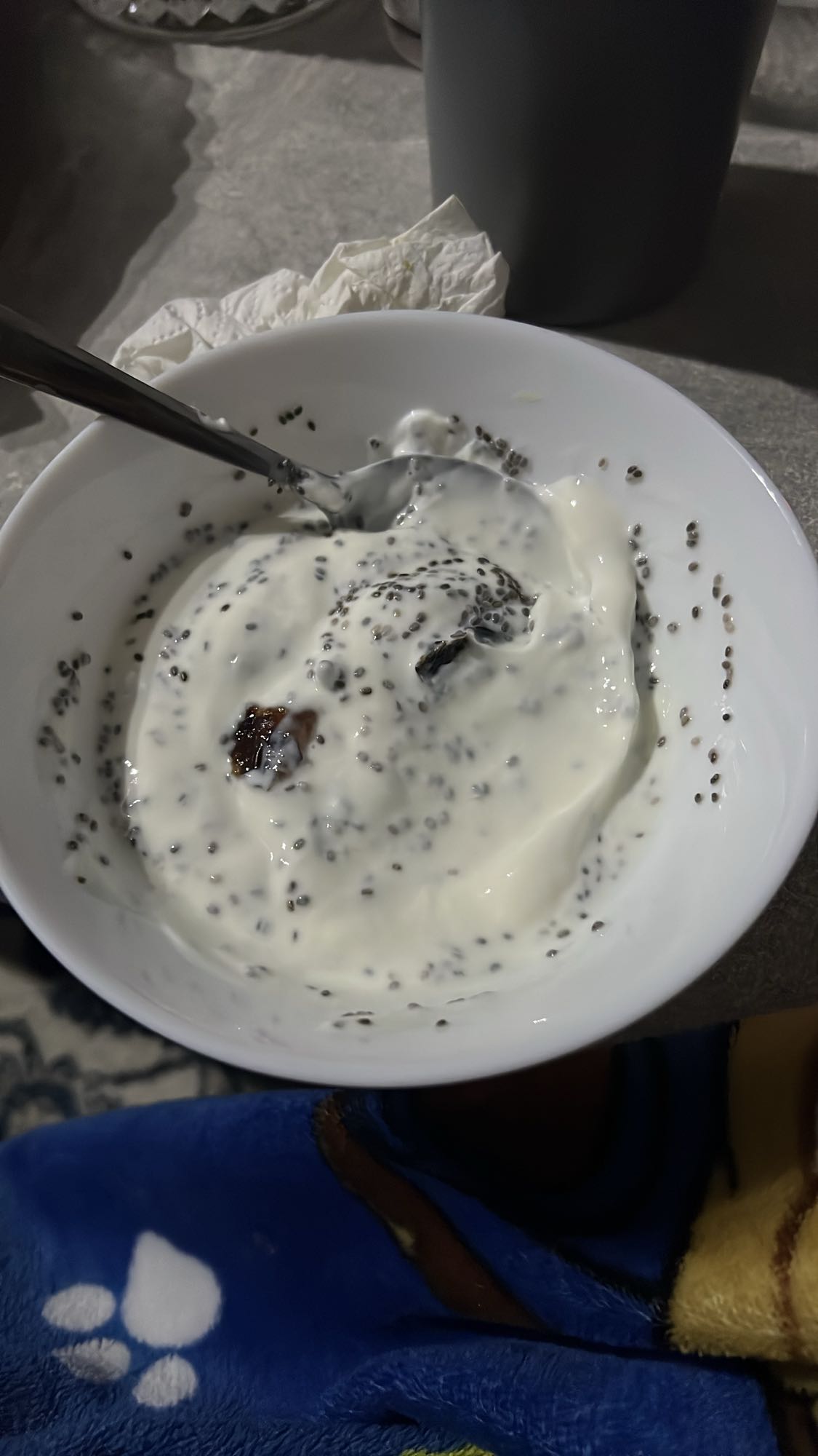 Joghurt mit Chiasamen