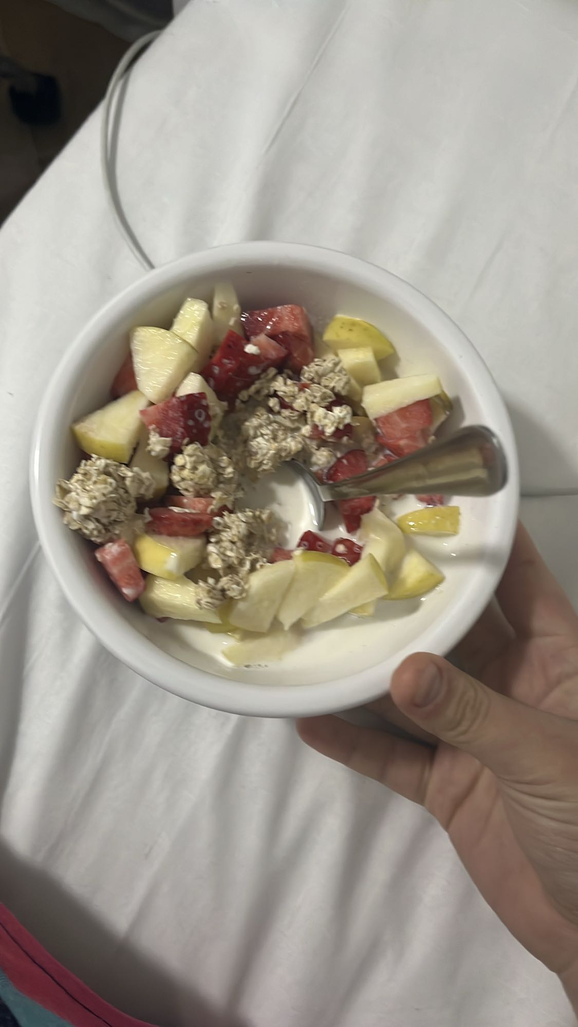 Yogur con frutas y avena