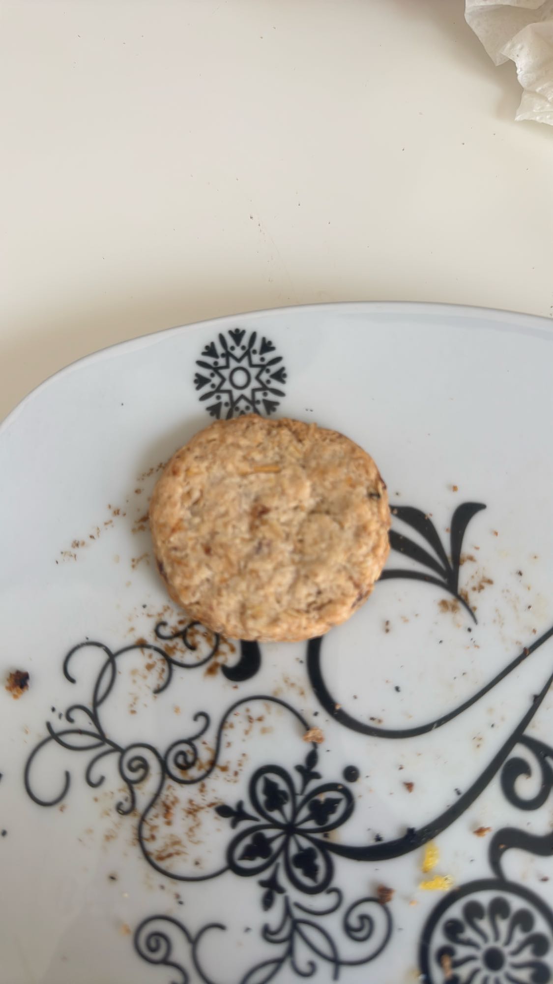Oatmeal Biscuit