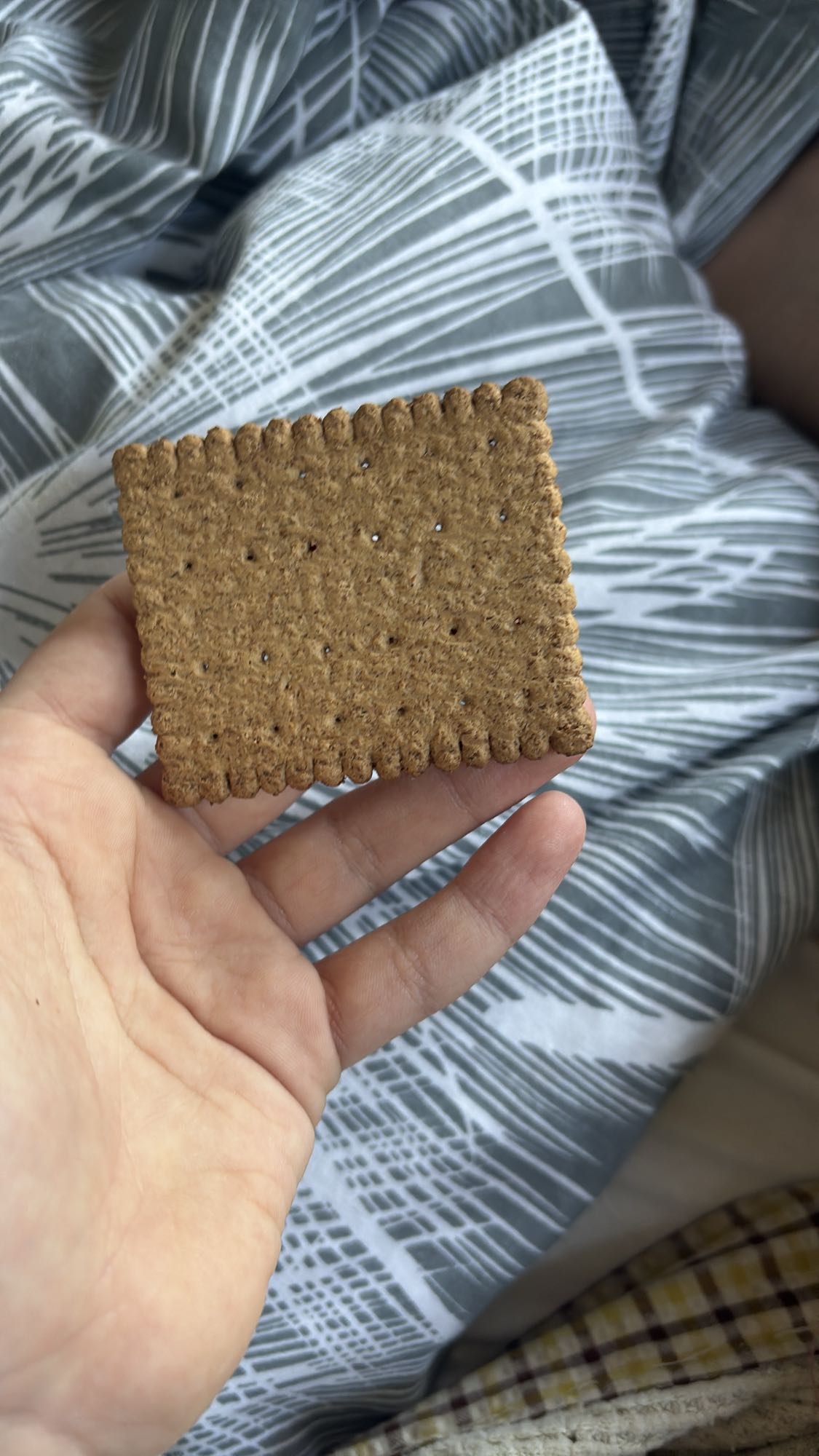 Whole Wheat Biscuit