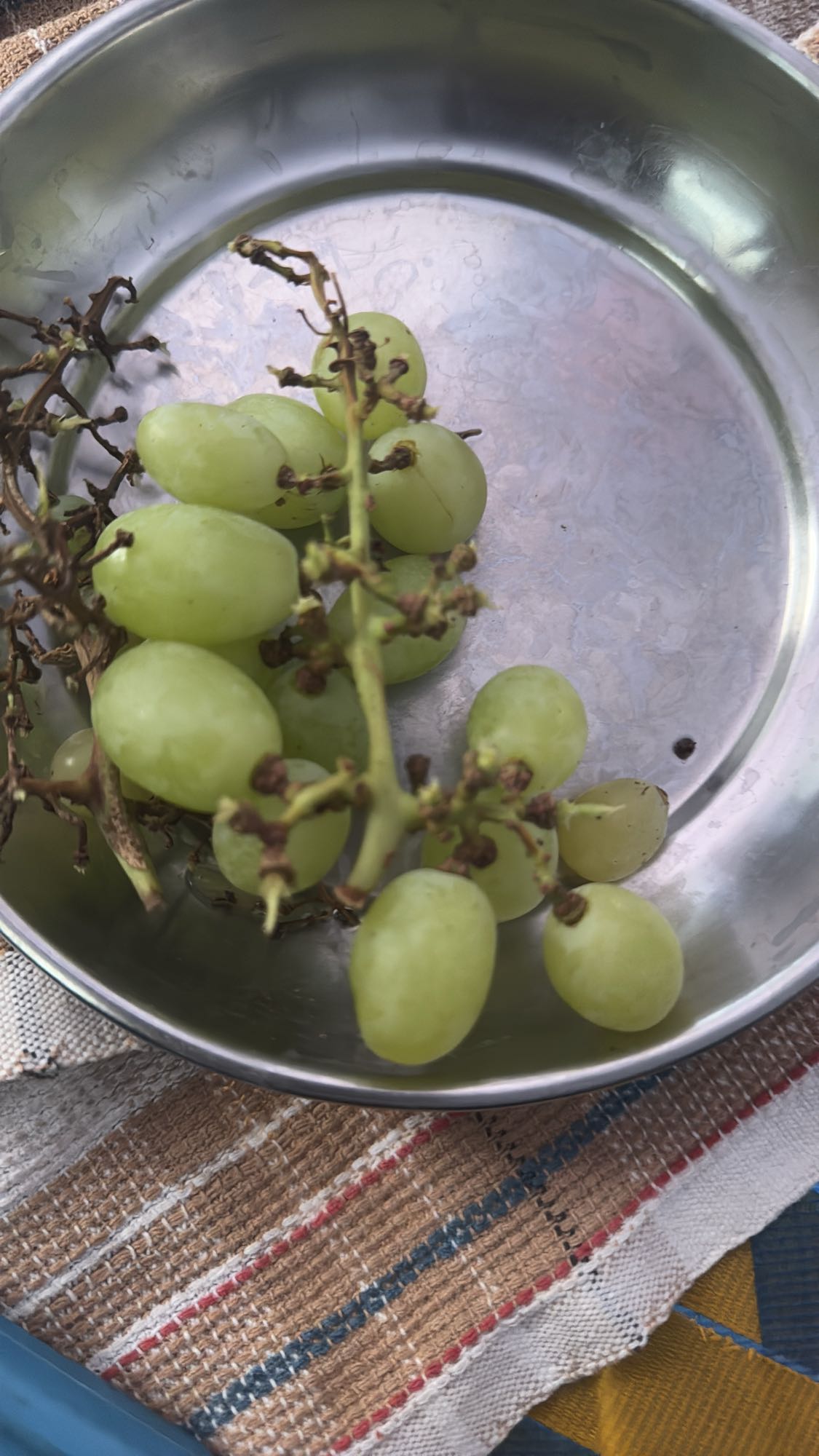 Green Grapes