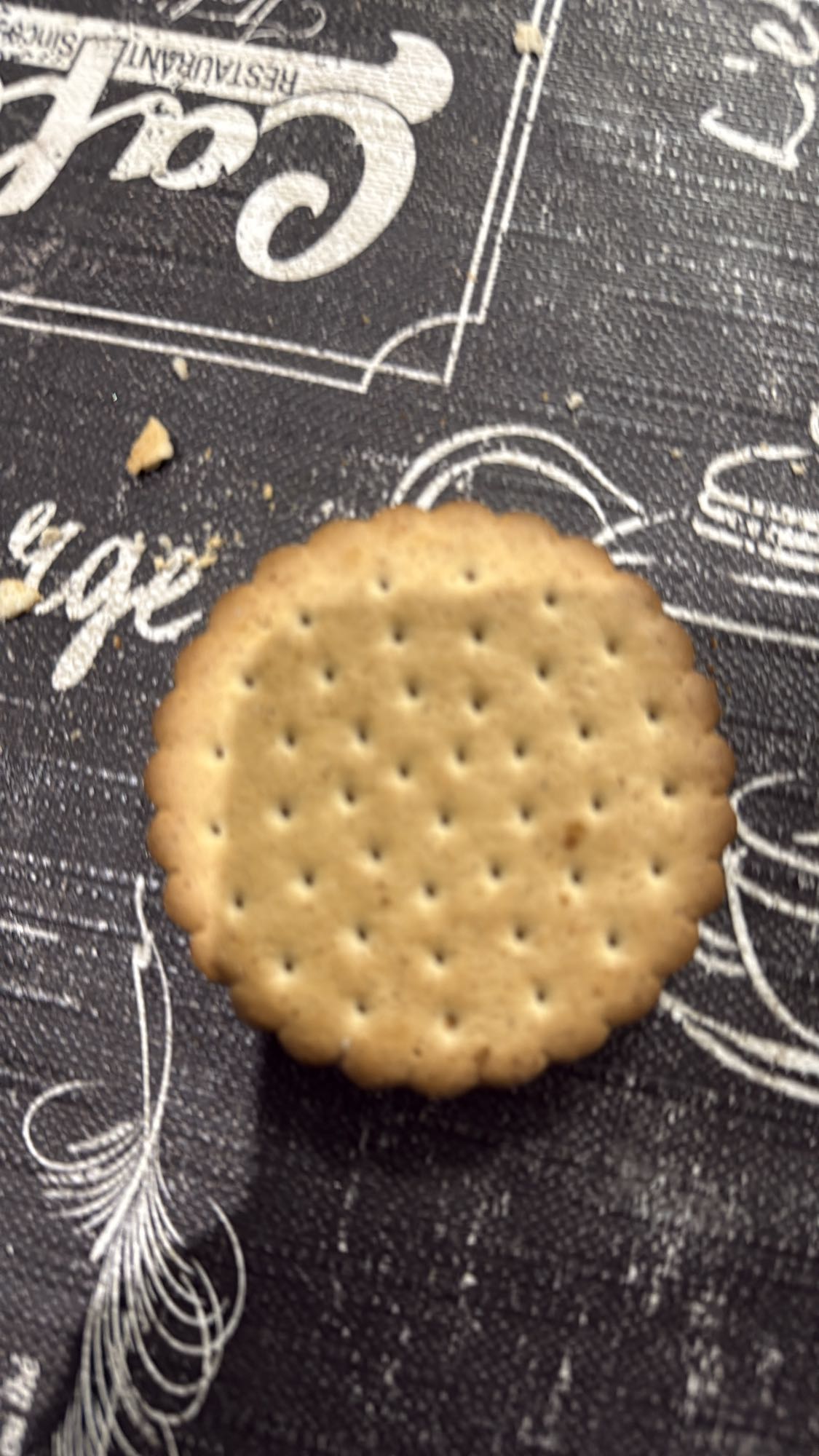 Biscuit salé