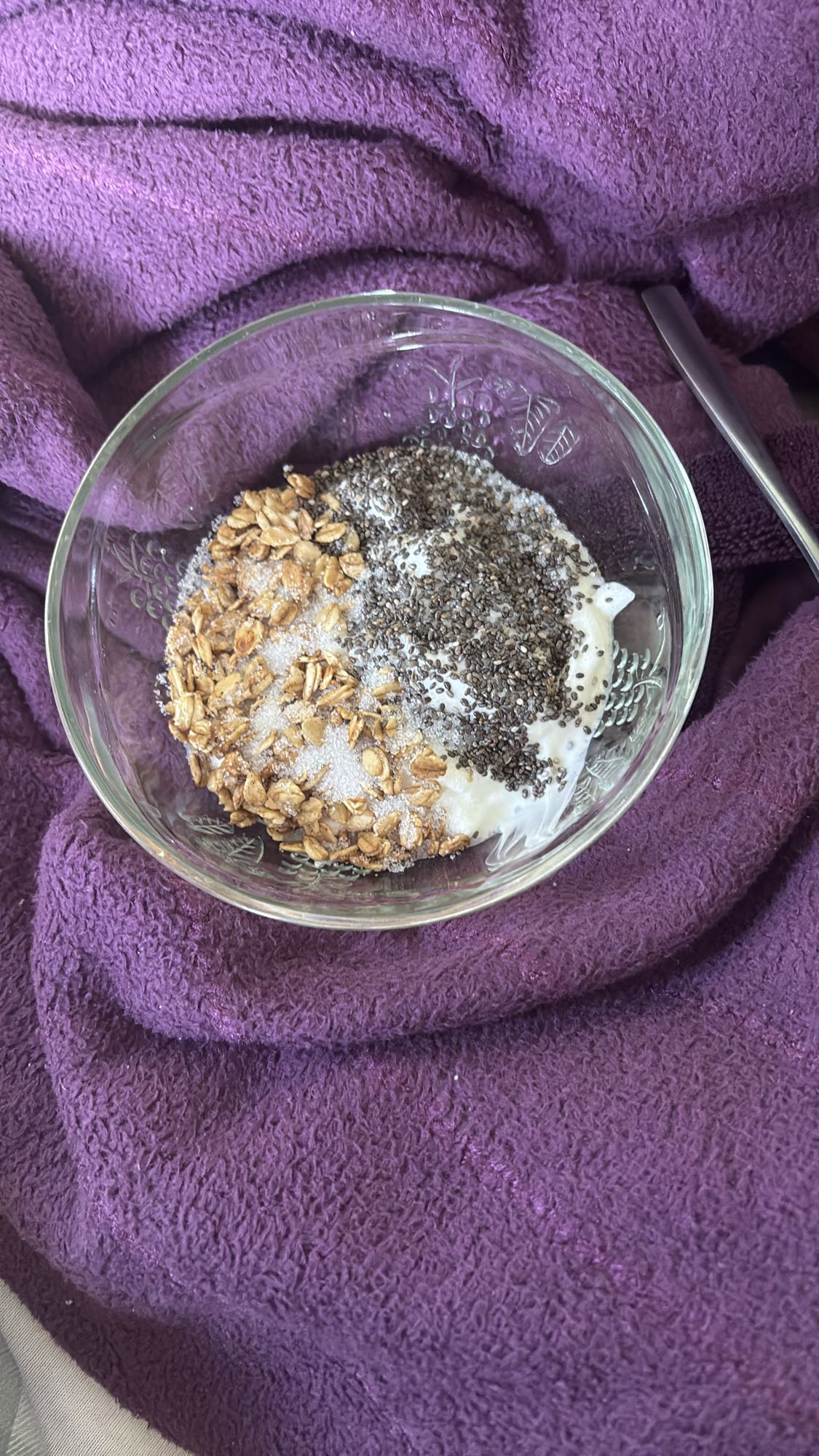 Yogurt with Granola