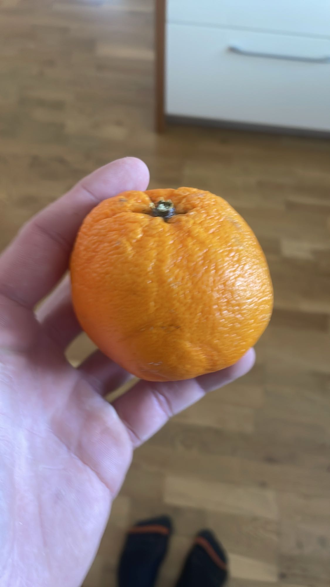 Mandarina