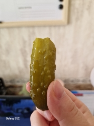 Pickle Snack