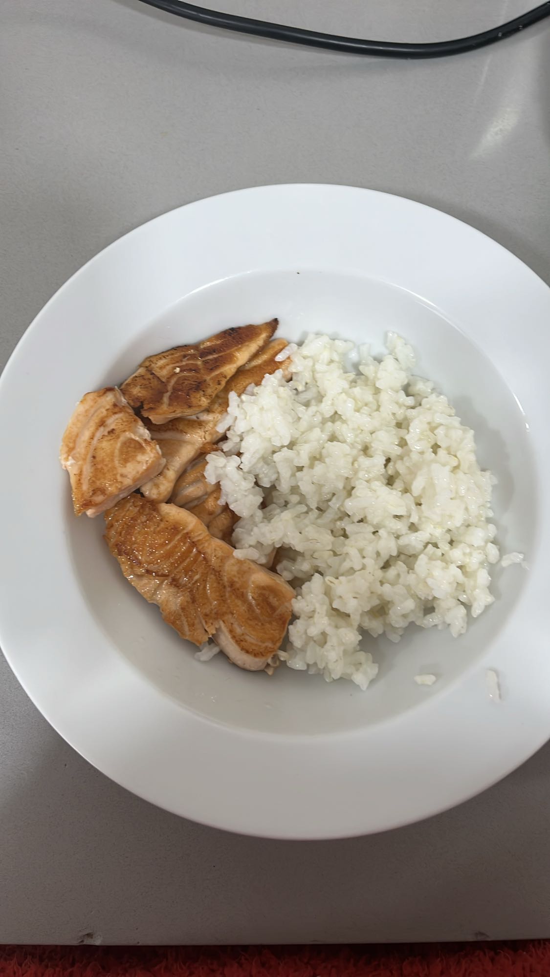 Salmón con arroz