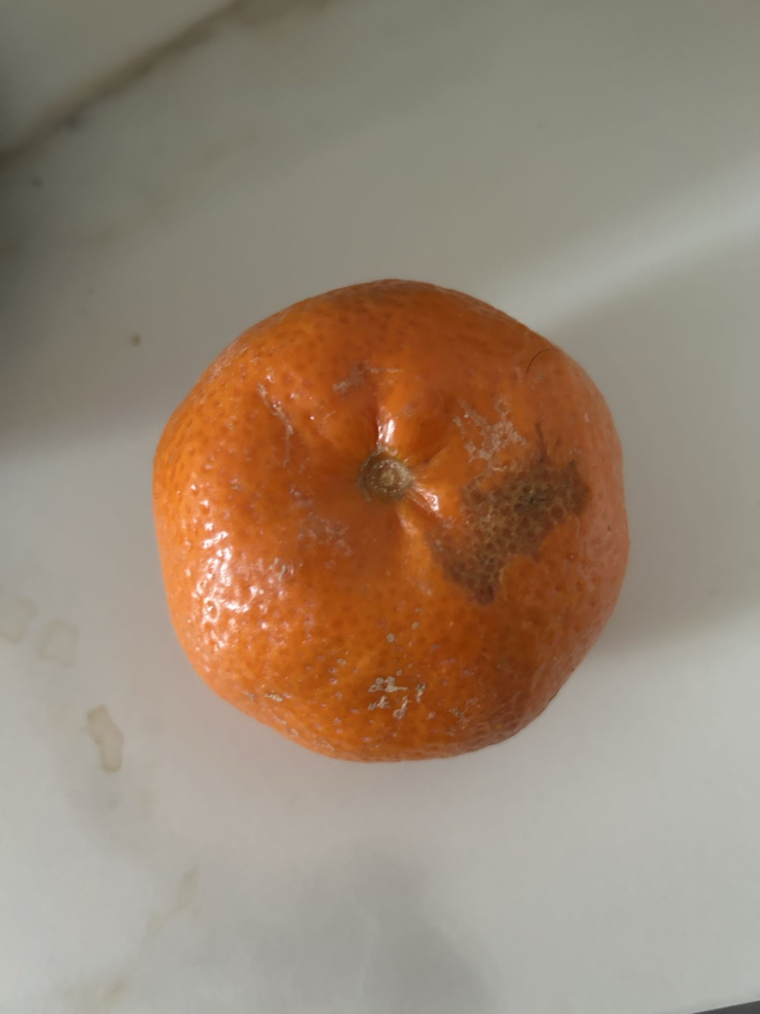 Mandarin Orange