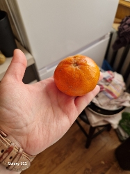 Mandarin Orange