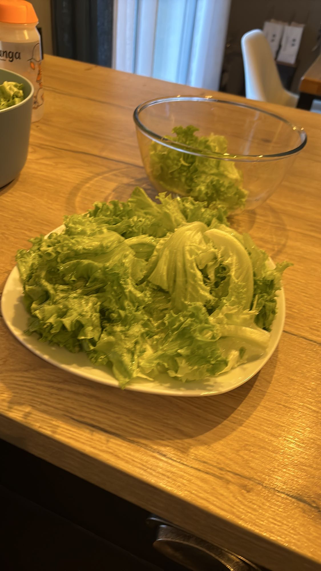 Salade verte fraîche