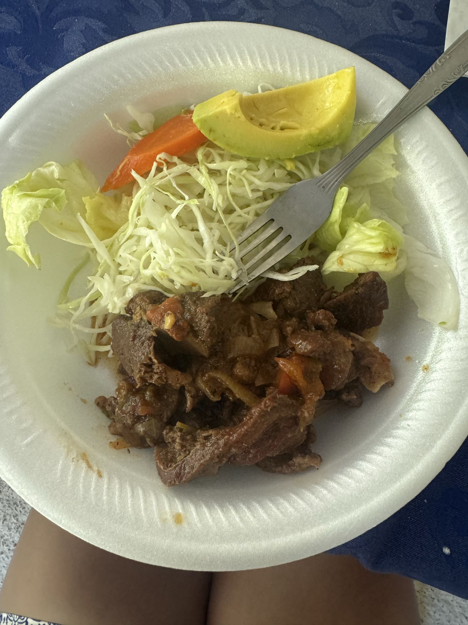 Carne guisada con ensalada