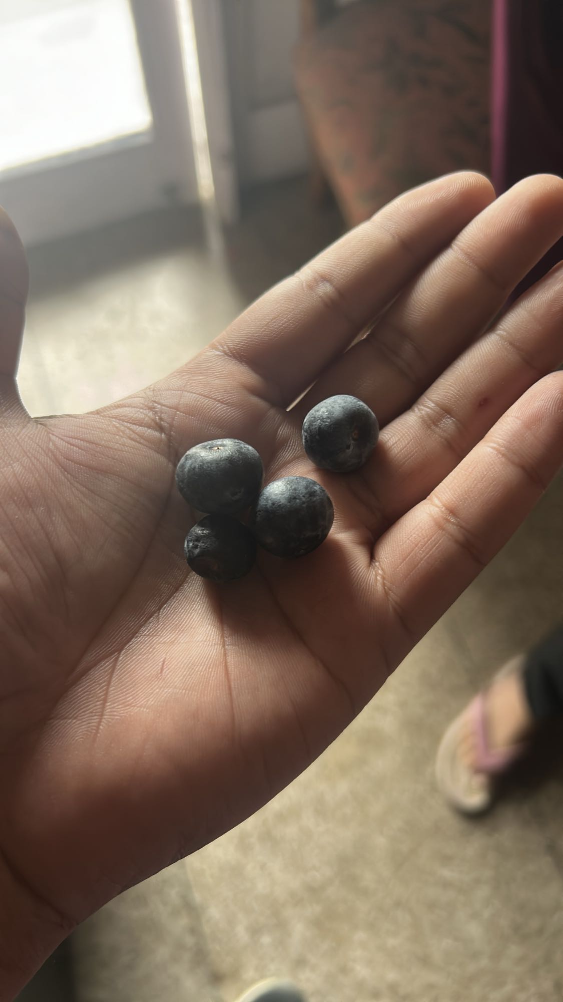 Blueberries Snack