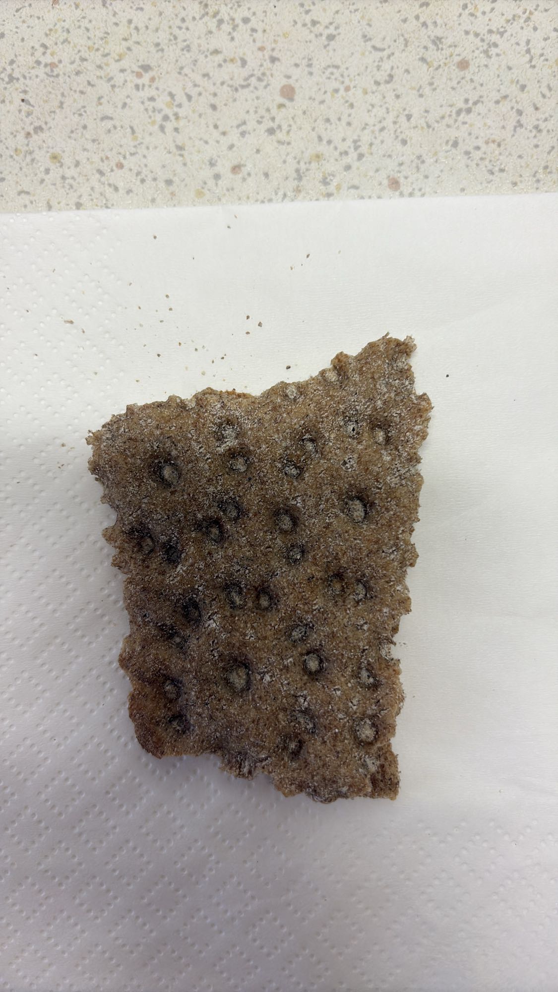 Pain croustillant au seigle