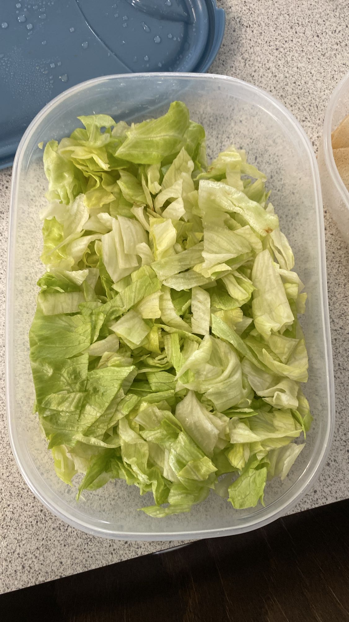 Salade de laitue