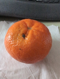 Mandarine fraîche