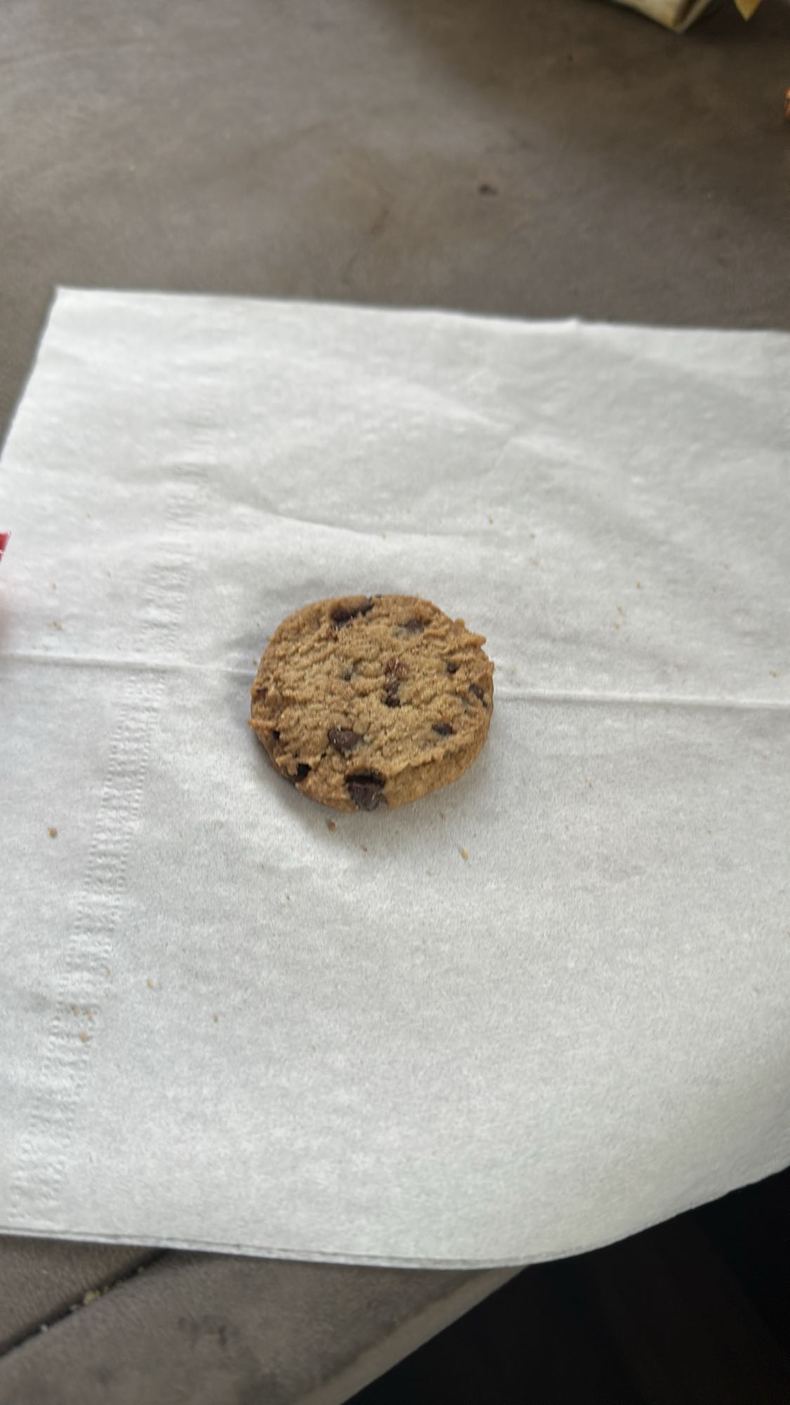 Chocolate Chip Cookie