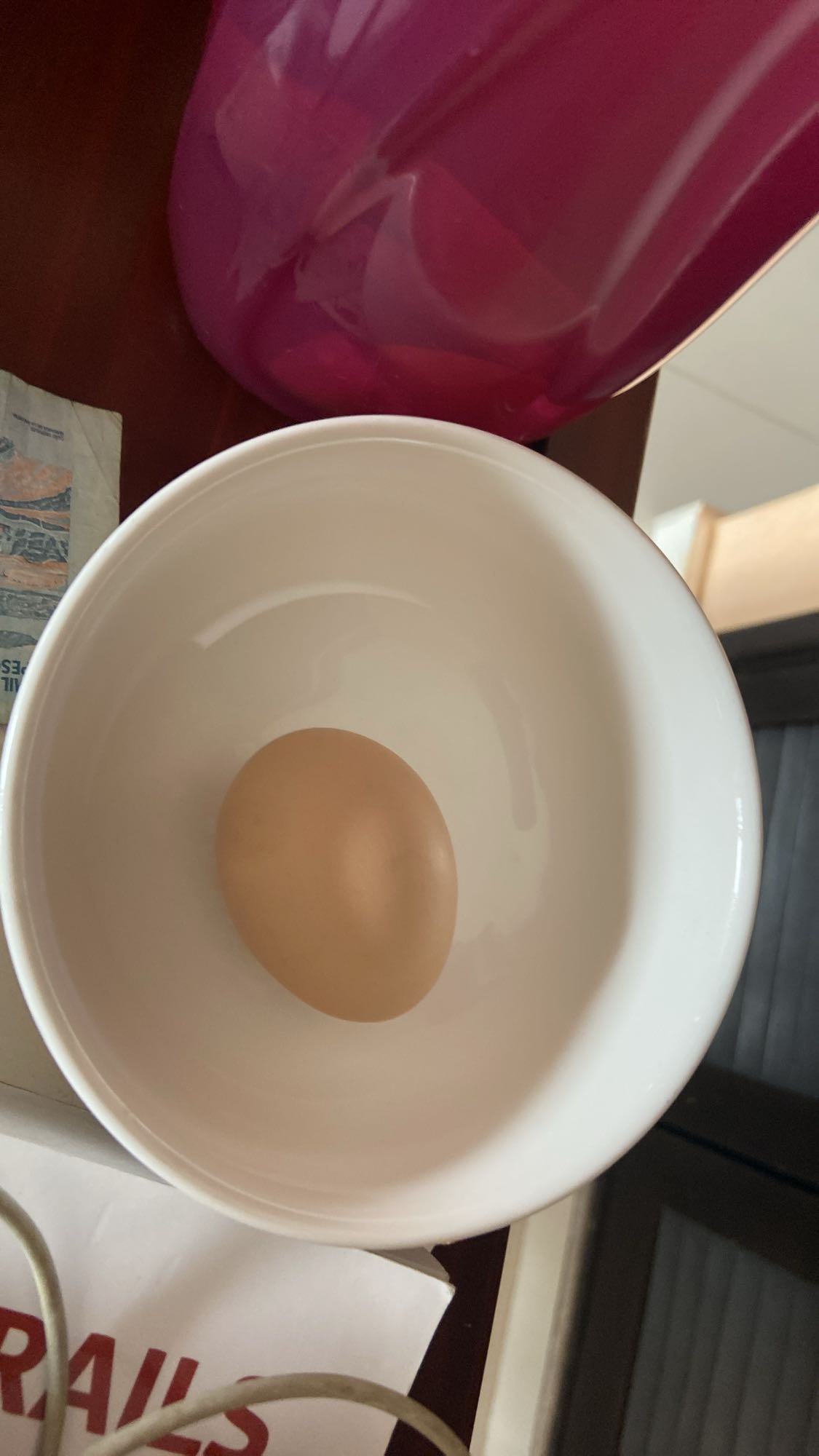 Boiled Egg