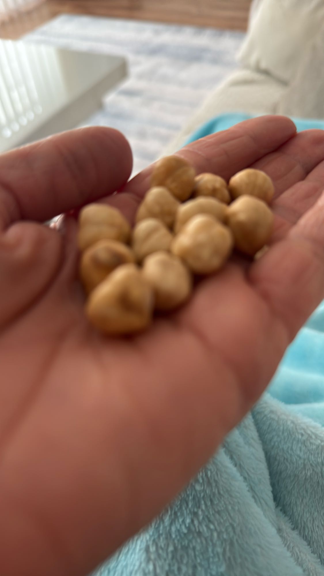 Geröstete Haselnüsse