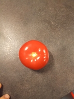 Fresh Tomato